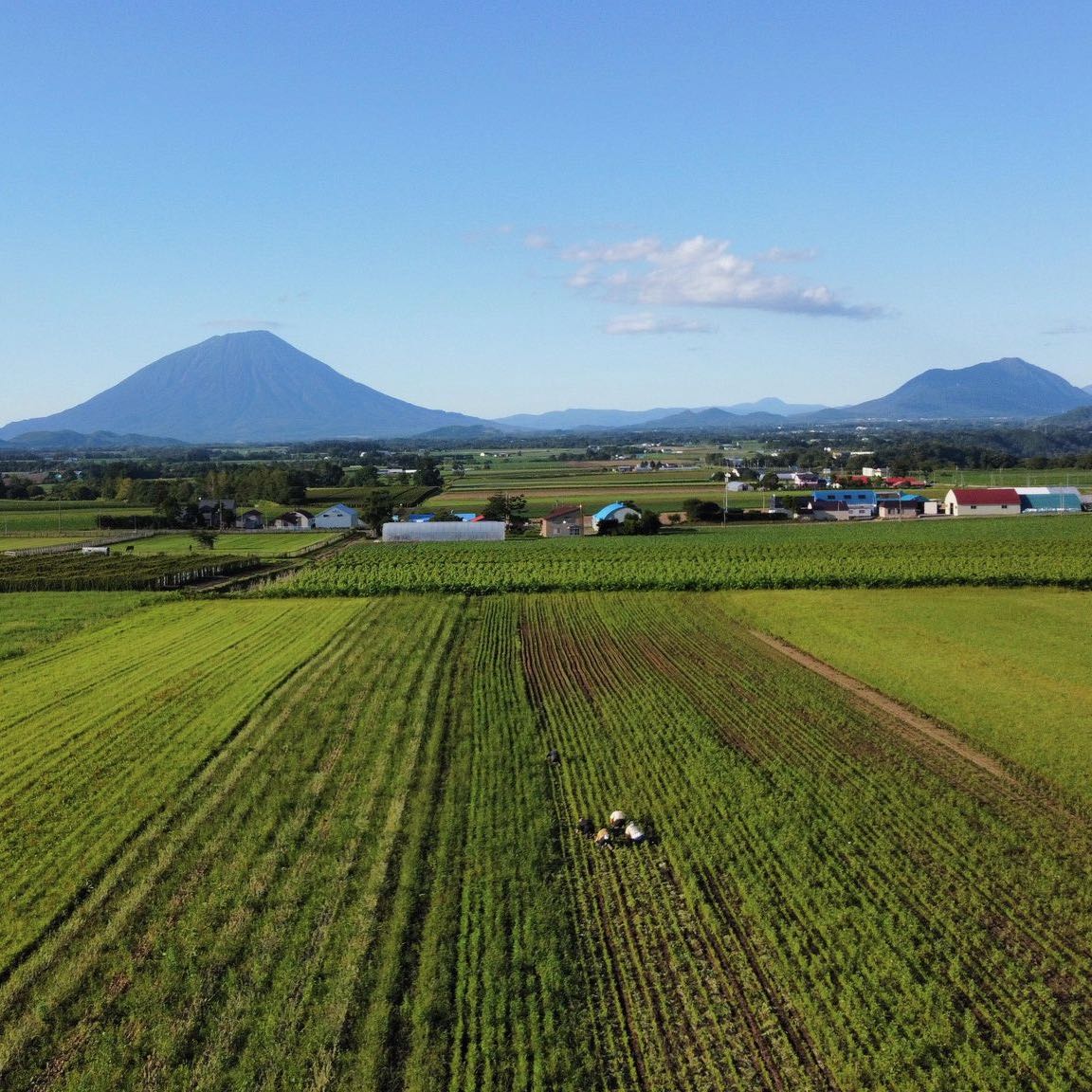 北海道洞爺湖町の佐々木ファーム