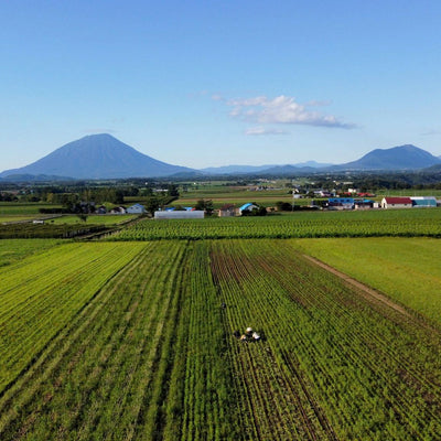 北海道洞爺湖町の佐々木ファーム