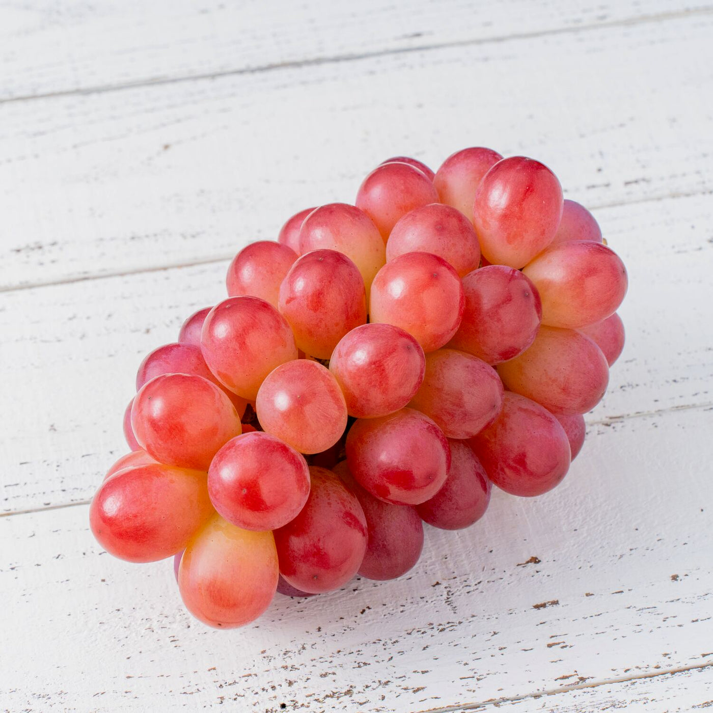 北海道仁木町産の新しいブドウ品種コトピー,贈答用の高級フルーツ,プレミアムぶどう,ブドウ,葡萄,たけもと果樹園