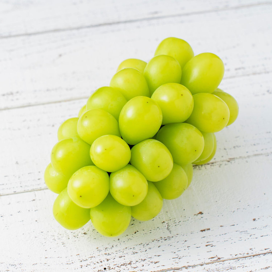 希少品種コトピー入り】北海道仁木町産シャインマスカット&コトピー