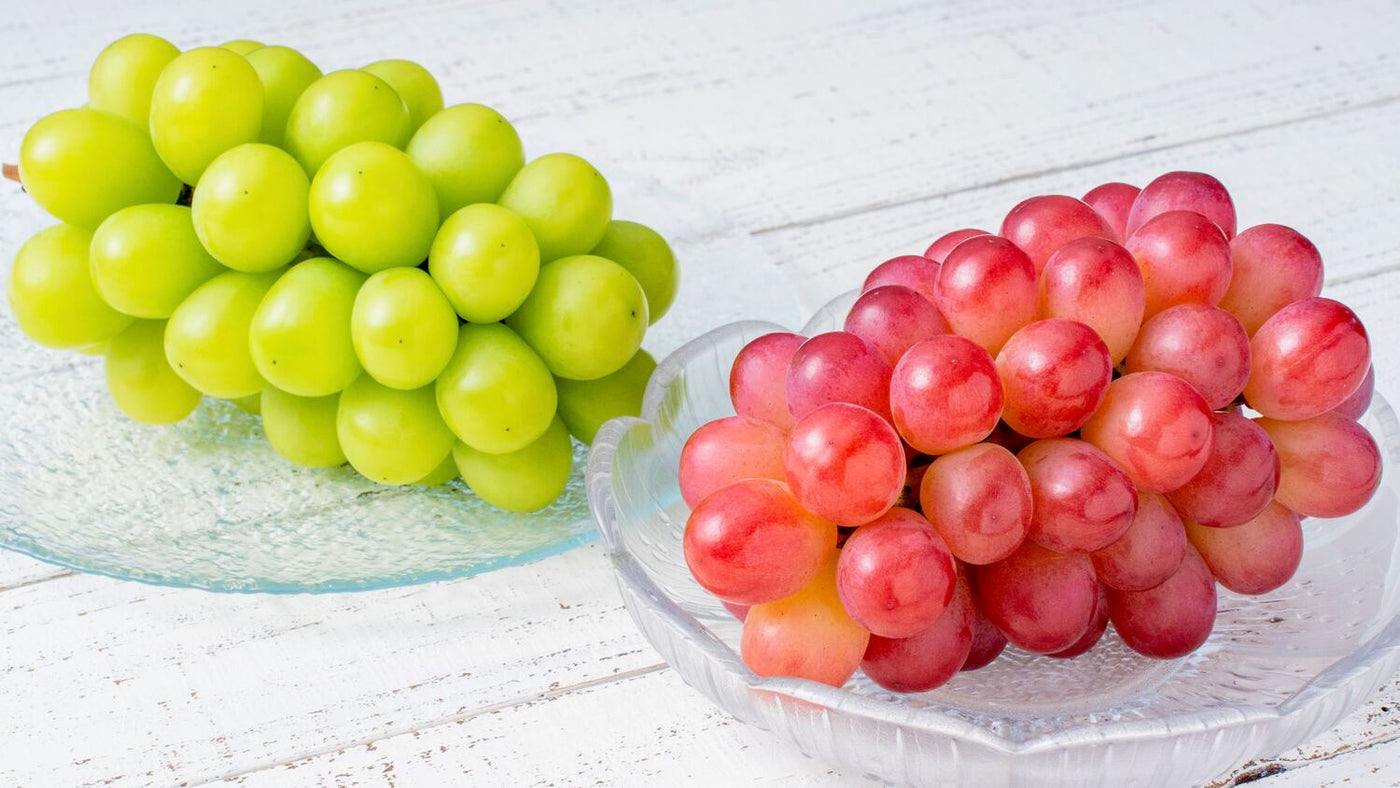 北海道仁木町産のシャインマスカットとコトピー,贈答用の高級フルーツ,プレミアムぶどう,ブドウ,葡萄,たけもと果樹園