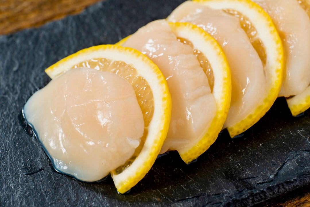 ほら貝/25.5~26.5センチ程 コアライトプラスBMZ | CORE-RIGHT+BMZ シューケア/アクセサリー