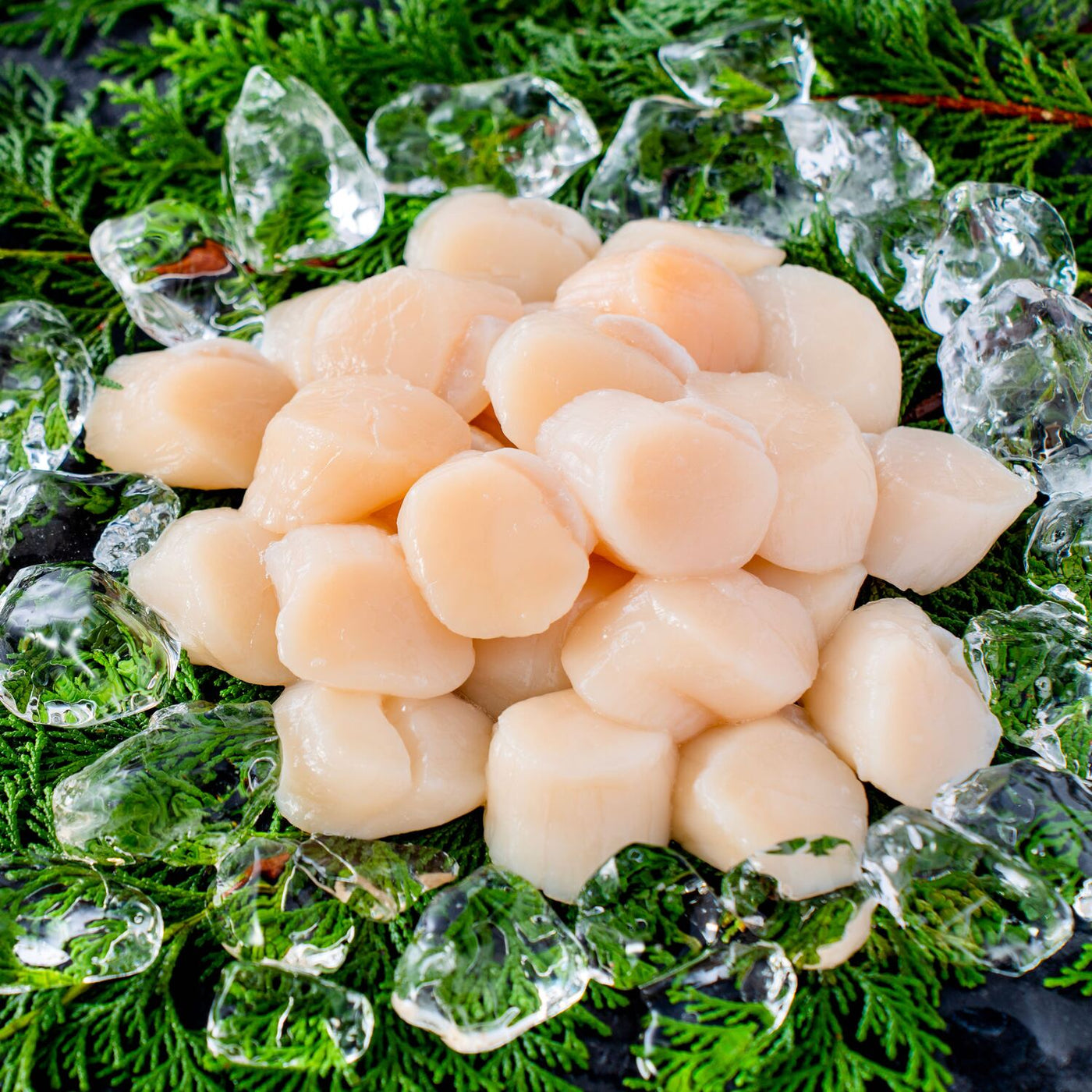 生食用・刺身用の北海道産ホタテ貝柱