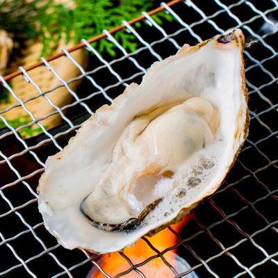 焼き牡蠣,北海道寿都産の寿カキ
