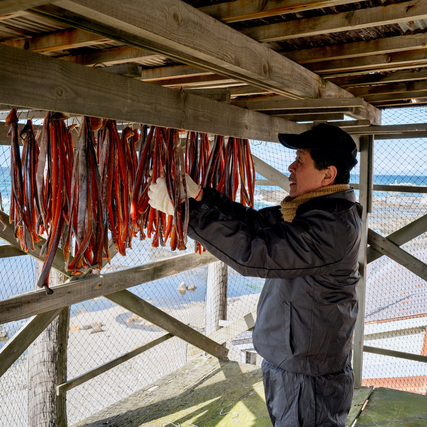 北海道産鮭とば,吉野商店の鮭トバ,日本海からの潮風で鮭とばを干す
