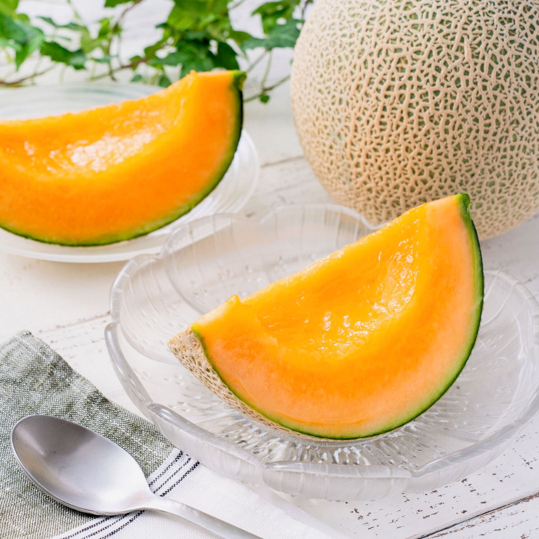 富良野メロン】耕さずに育てた最高品質の赤肉メロン（無肥料