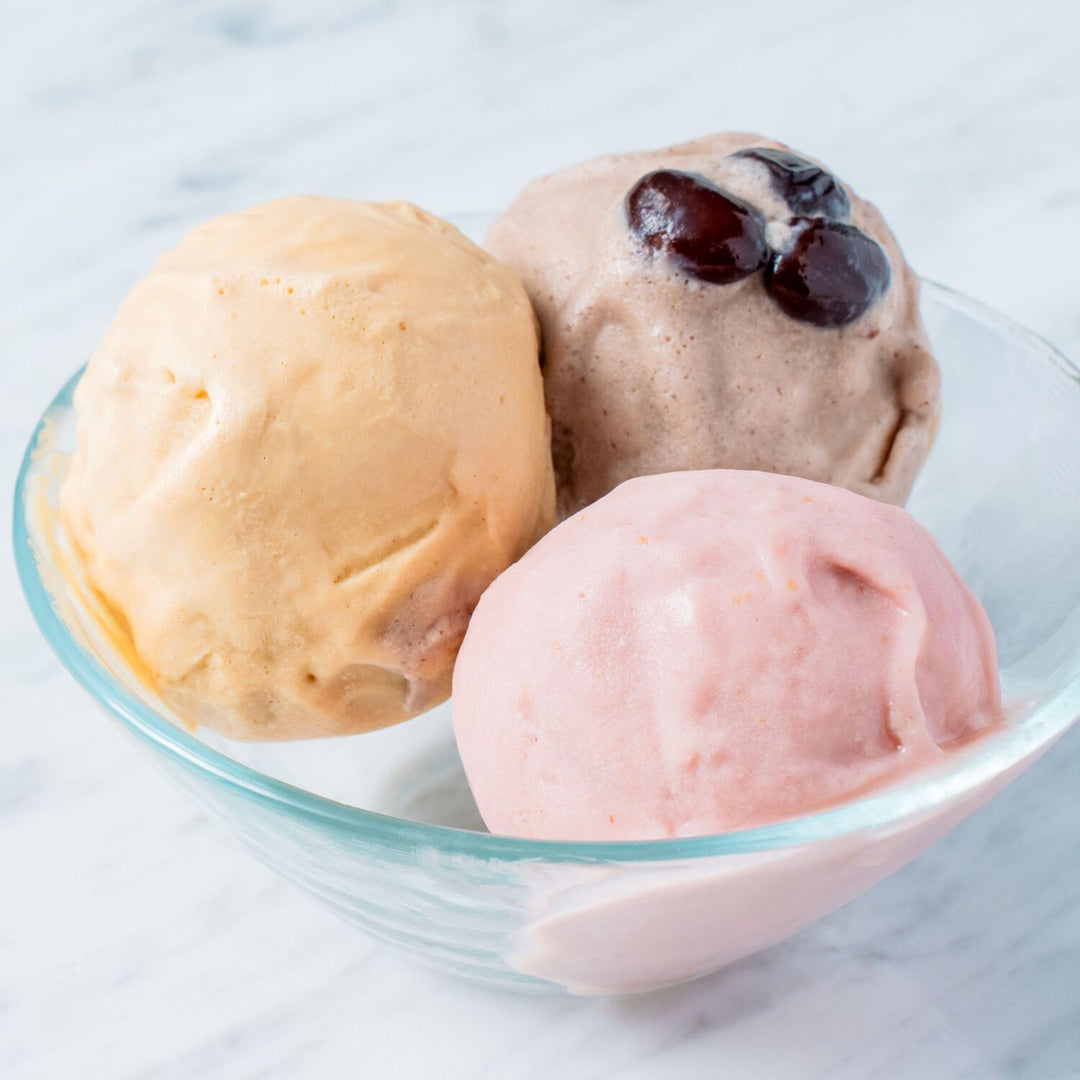 ヴィーガンジェラート 6種セット（各1個・6個入） – NORTH DISH