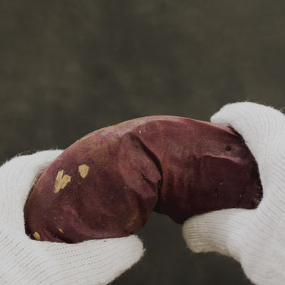 北海道産のさつまいも「由栗いも」の焼き芋を半分に割る