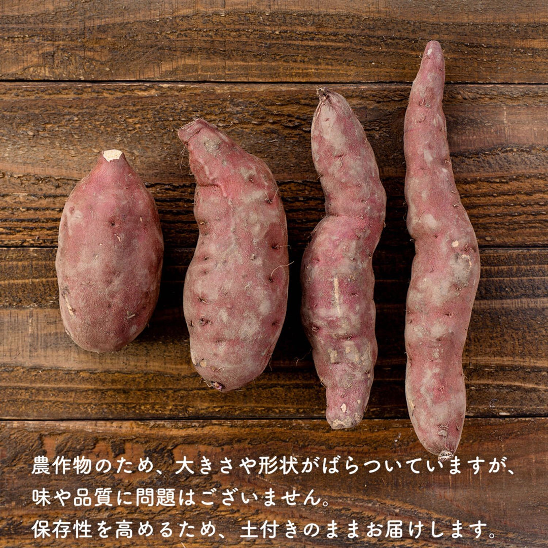 北海道熟成さつまいも『由栗（ゆっくり）いも』5kg【2Lサイズ